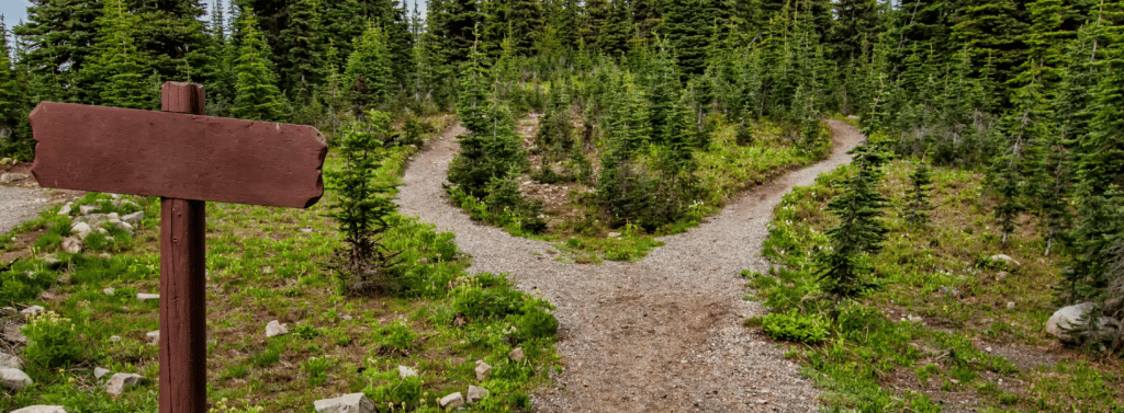 Path marker in the wilderness before a fork in the path.
